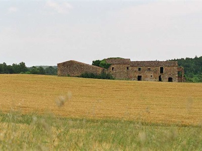 Imatge del terraprim d'Empordà (Vilademuls).