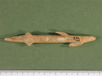 Arpó d'os de la Bora Gran, 10.000 aC 	