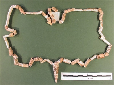 Collaret de curculles del Solutrià (17.000 aC), cova del Reclau Viver (Serinyà) 
